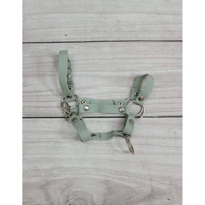 Hobby horse apynasris (kantaras) su pavadžiu, A3, šalavijų žalios spalvos - Super Hobby Horse
