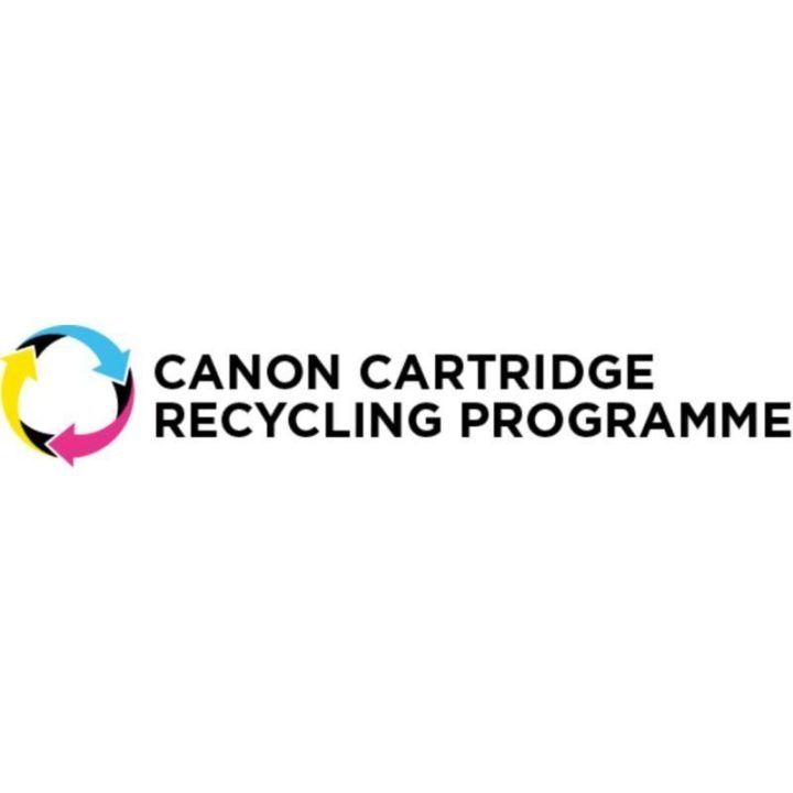 Rašalo kasečių rinkinys Canon PGI-2500XL, 4 vnt., juodos, žydros, purpurinės ir geltonos