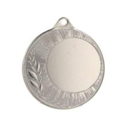 Medalis su vieta emblemui, R 40 mm, T 1,5 mm, sidabro spalvos