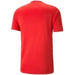 Vyriški sportiniai marškinėliai Puma teamULTIMATE, raudoni