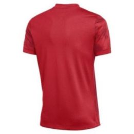 Marškinėliai Nike Dri-Fit Precision VII