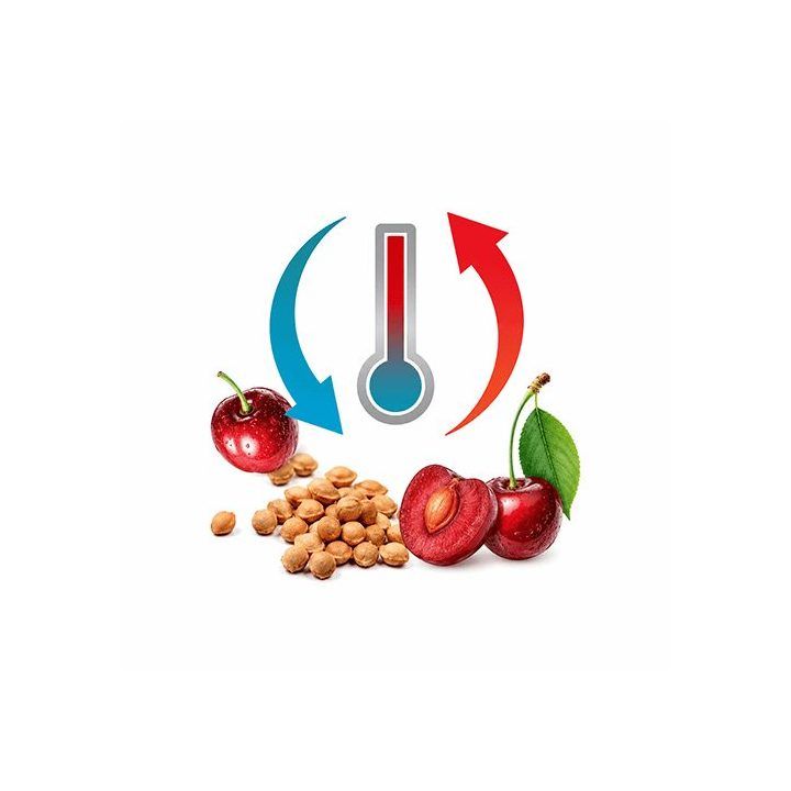 Termoforas-žaislas su vyšnių kauliukų įdėklu BabyOno Cherry