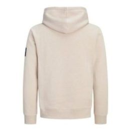 Vyriškas džemperis su gobtuvu Jack&Jones Cleveland, Moonbeam