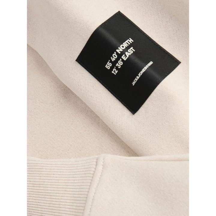 Vyriškas džemperis su gobtuvu Jack&Jones Cleveland, Moonbeam