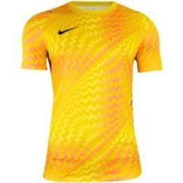 Vyriški vartininko marškinėliai Nike Dri-FIT Gardien VI, geltoni