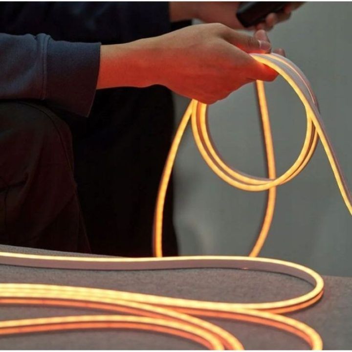 Silikoninė LED juosta Vention Silicone Neon su IR pulteliu, 5 m
