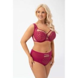 Moteriškos kelnaitės Gorsenia Lingerie 227791 – rožinė