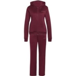 Moteriškas sportinis kostiumas adidas Essentials Linear, bordo