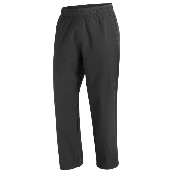 Vyriškos sportinės kelnės Salomon Wayfarer Ease 2.0, juodos