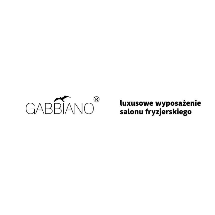 Kirpyklos džiovintuvas su jonizacija Gabbiano Centurion LVI-203S, juodas