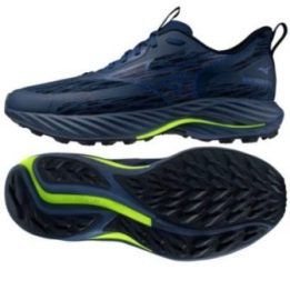 Vyriški sportiniai batai Mizuno Wave Rider GTX 3