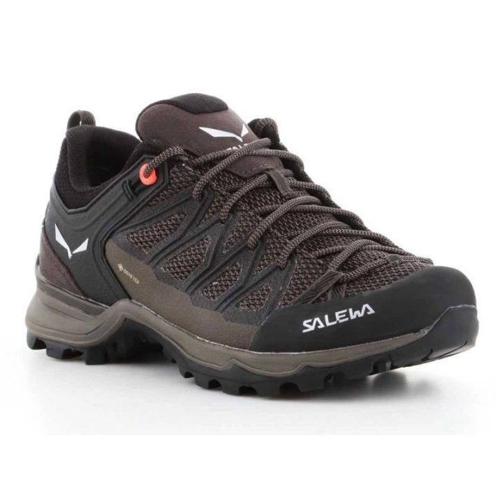 Moteriški žygio batai Salewa MTN Trainer Lite GTX, rudi