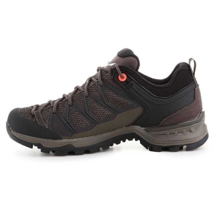 Moteriški žygio batai Salewa MTN Trainer Lite GTX, rudi