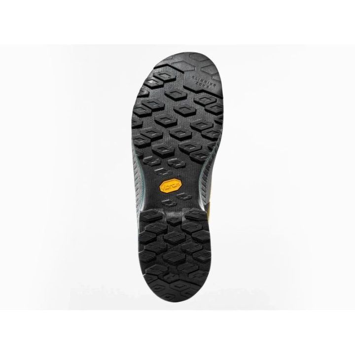Vyriški priėjimo batai La Sportiva TX4 Evo GTX, Savana/Jungle