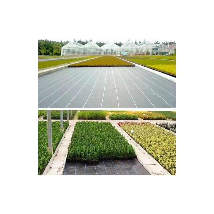 Agroplėvelės rinkinys su kuoliukais, 1,6 × 50 m, juoda