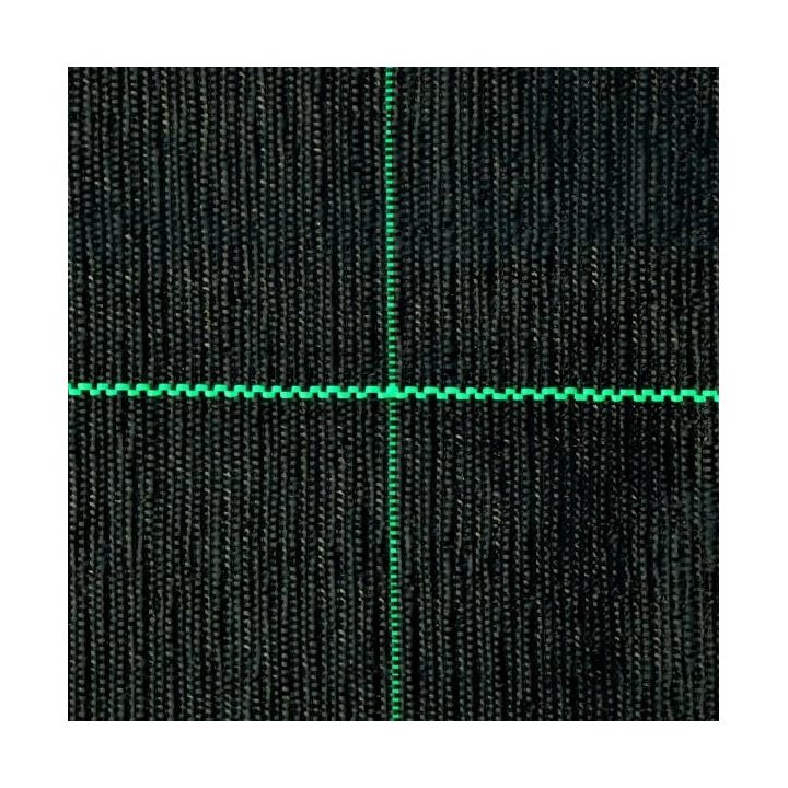 Agroplėvelės rinkinys su kuoliukais, 1,6 × 50 m, juoda