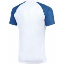 Vyriški marškinėliai Nike Dri-FIT Academy II, balti ir mėlyni