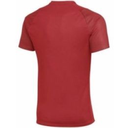 Vyriški marškinėliai Nike Dri-FIT Academy II, raudoni