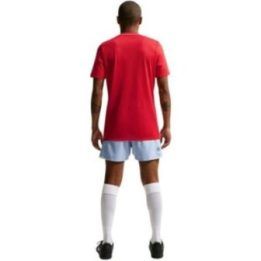 Vyriški marškinėliai Nike Dri-FIT Park 26, HM7127 657, raudoni