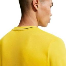 Vyriški prigludę marškinėliai Nike Dri-FIT Park 26, geltoni