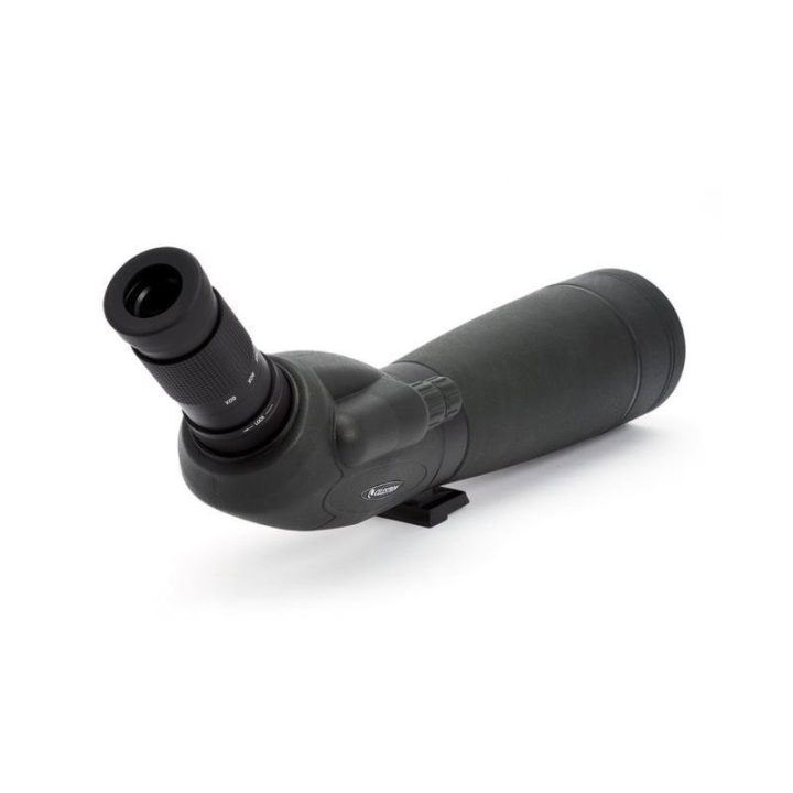 Stebėjimo teleskopas 20–60× Celestron TrailSeeker 80, juodas