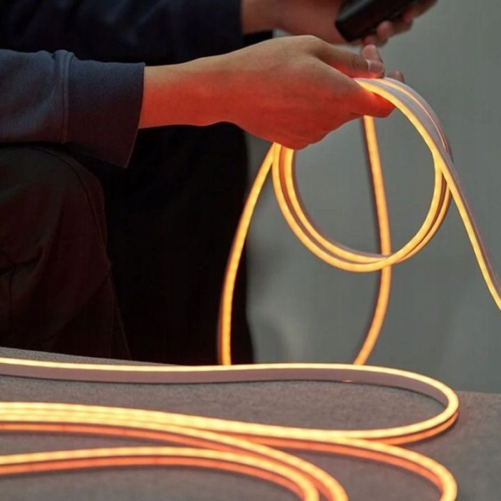 LED neon juosta su IR pulteliu Vention Silicone Neon, 2 m
