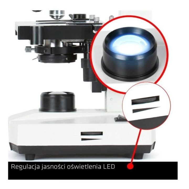 Optinis mikroskopas Delta Optical BioStage II, 40–400×