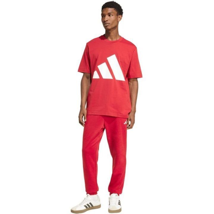 Vyriškos medvilninės kelnės adidas Essentials Feelcozy, raudonos