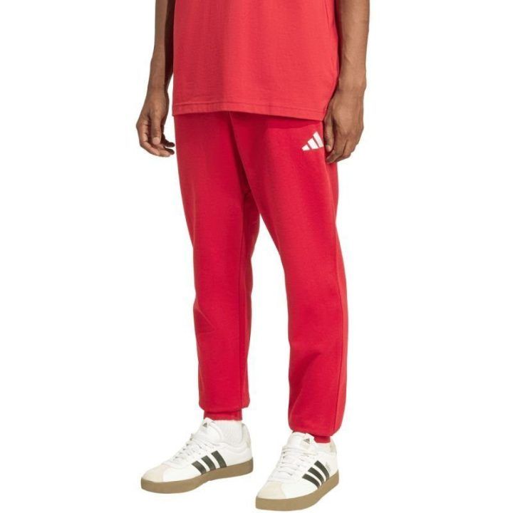 Vyriškos medvilninės kelnės adidas Essentials Feelcozy, raudonos