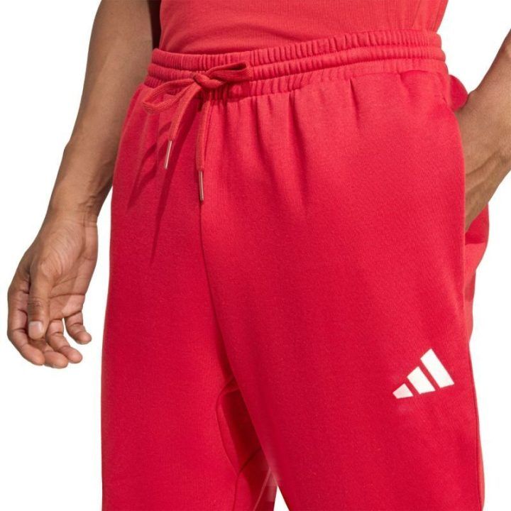 Vyriškos medvilninės kelnės adidas Essentials Feelcozy, raudonos