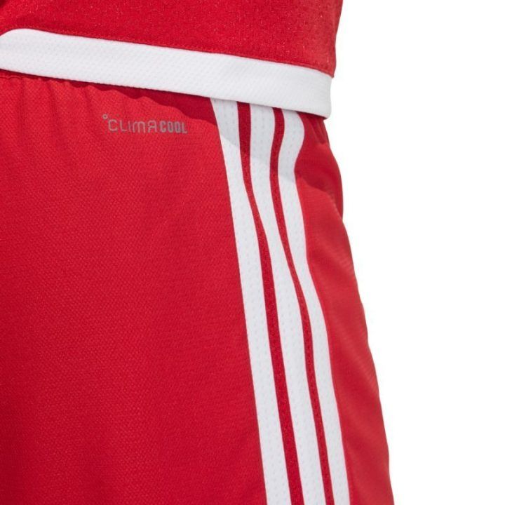 Vyriški futbolo šortai adidas Tiro 26 Competition Match, raudoni ir balti