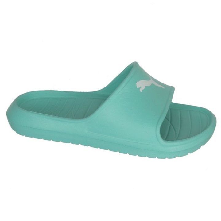 Moteriškos šlepetės Puma Divecat v2 Lite Cat