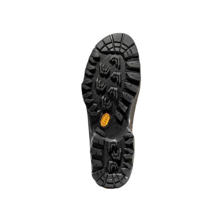 Žygio batai La Sportiva TX5 Low GTX, tigro ir savanos spalvos