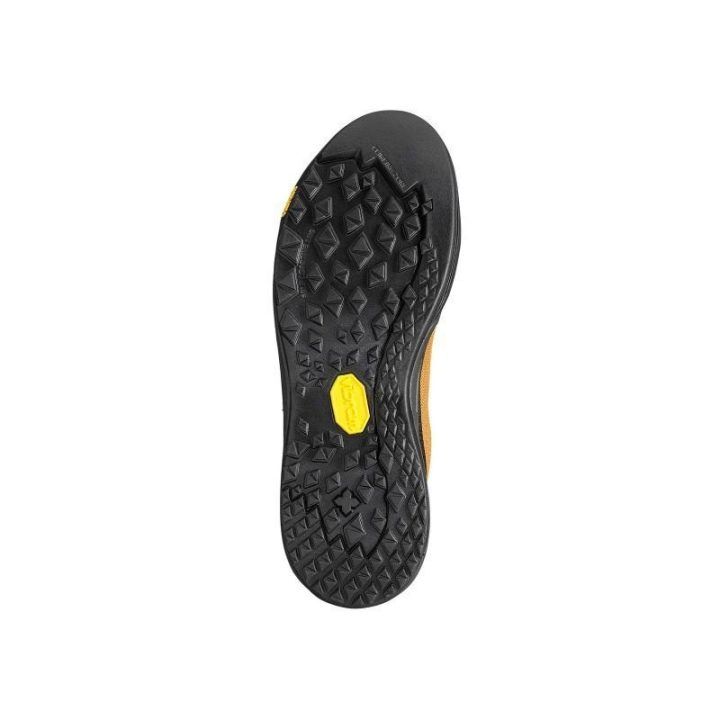 Vyriški laipiojimo bateliai Millet Cima GTX, oranžiniai
