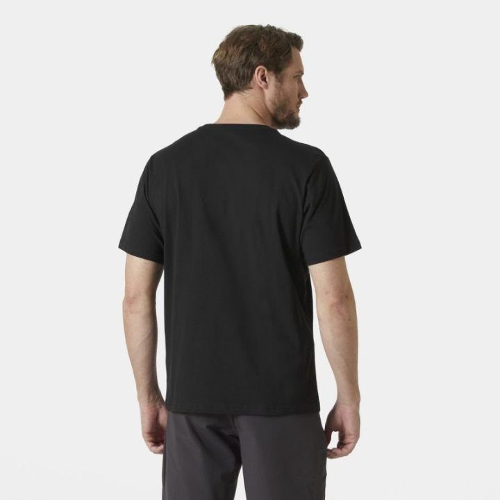Vyriški medvilniniai marškinėliai Helly Hansen HH Logo 3.0