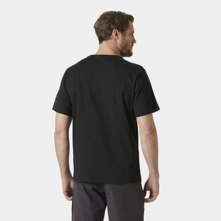 Vyriški medvilniniai marškinėliai Helly Hansen HH Logo 3.0