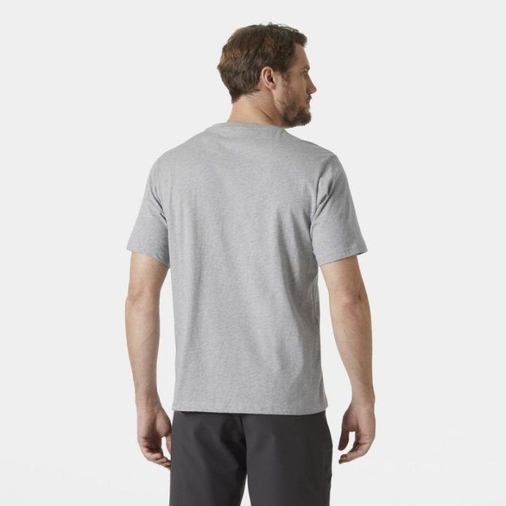Vyriški medvilniniai marškinėliai Helly Hansen HH Logo 3.0, 54596