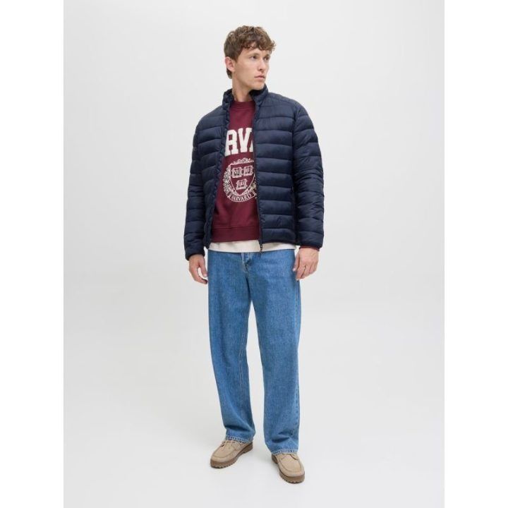 Vyriška striukė Jack&Jones JJEBRADLEY, tamsiai mėlyna