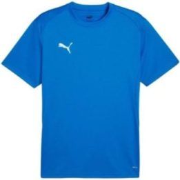 Vyriški futbolo marškinėliai Puma TeamGoal, mėlyni