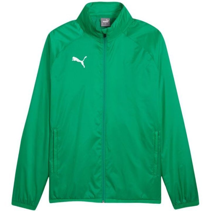 Vyriška striukė Puma Team Goal All Weather, žalia