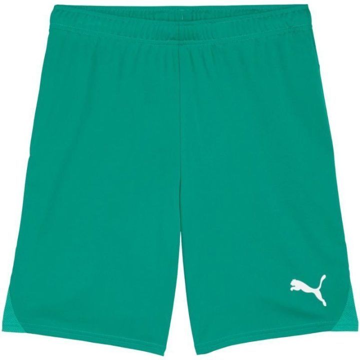 Vyriški greitai džiūstantys šortai Puma Team Goal, žali