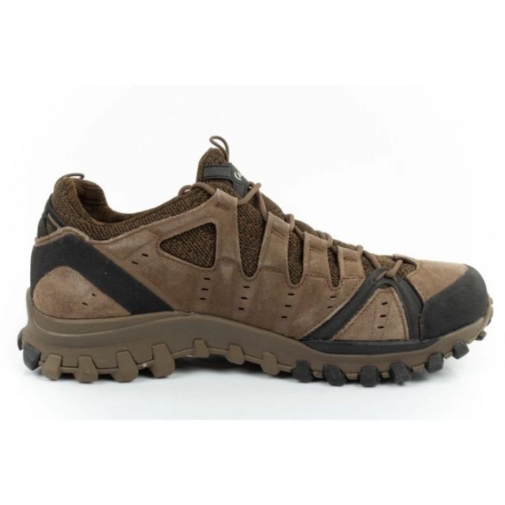 Vyriški žygio batai su GORE-TEX membrana AKU Alterra Lite
