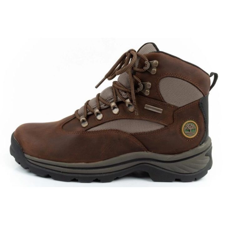 Vyriški žygio batai iš nubuko Timberland Chocorua