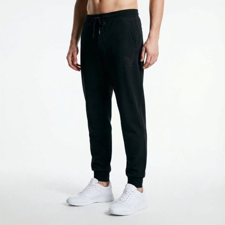 Vyriškos sportinės kelnės Armani Exchange, juodos