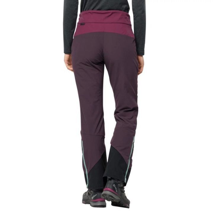 Moteriškos slidinėjimo kelnės Jack Wolfskin Alpspitze, violetinės