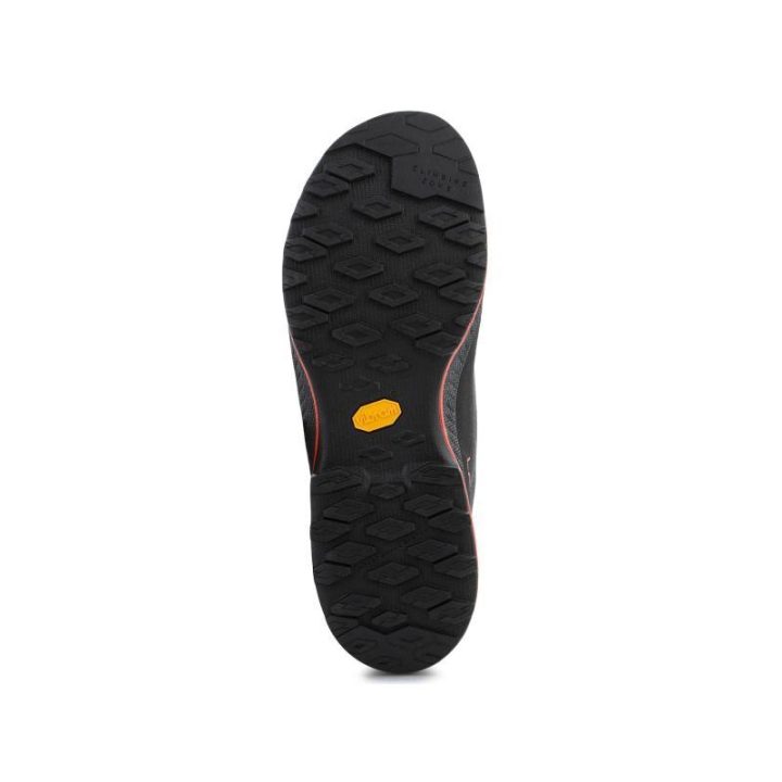 Vyriški žygio batai La Sportiva TX4 Evo GTX, tamsiai pilki ir raudoni
