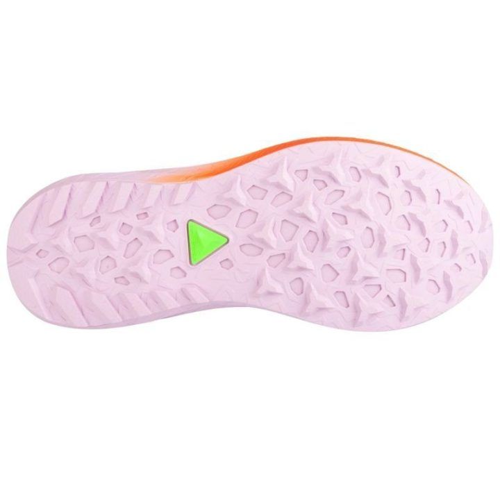 Moteriški bėgimo bateliai Asics Fuji Lite 5