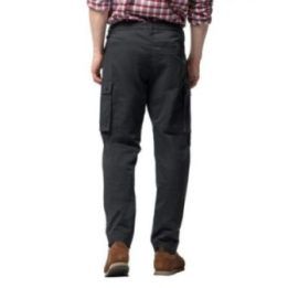 Vyriškos kargo kelnės Jack Wolfskin Arctic Road