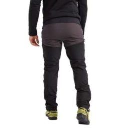 Vyriškos softshell kelnės žygiams Jack Wolfskin Salmaster