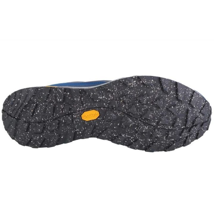 Vyriški žygio batai Jack Wolfskin Terraventure Texapore Low, tamsiai mėlyni
